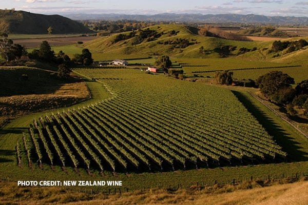 BEYOND SAUVIGNON BLANC – PRIME TIME FOR PINOT NOIR IN NEW ZEALAND