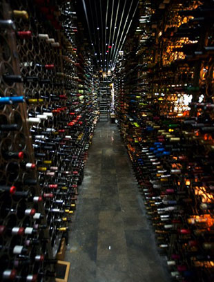 monvinic wine cellar