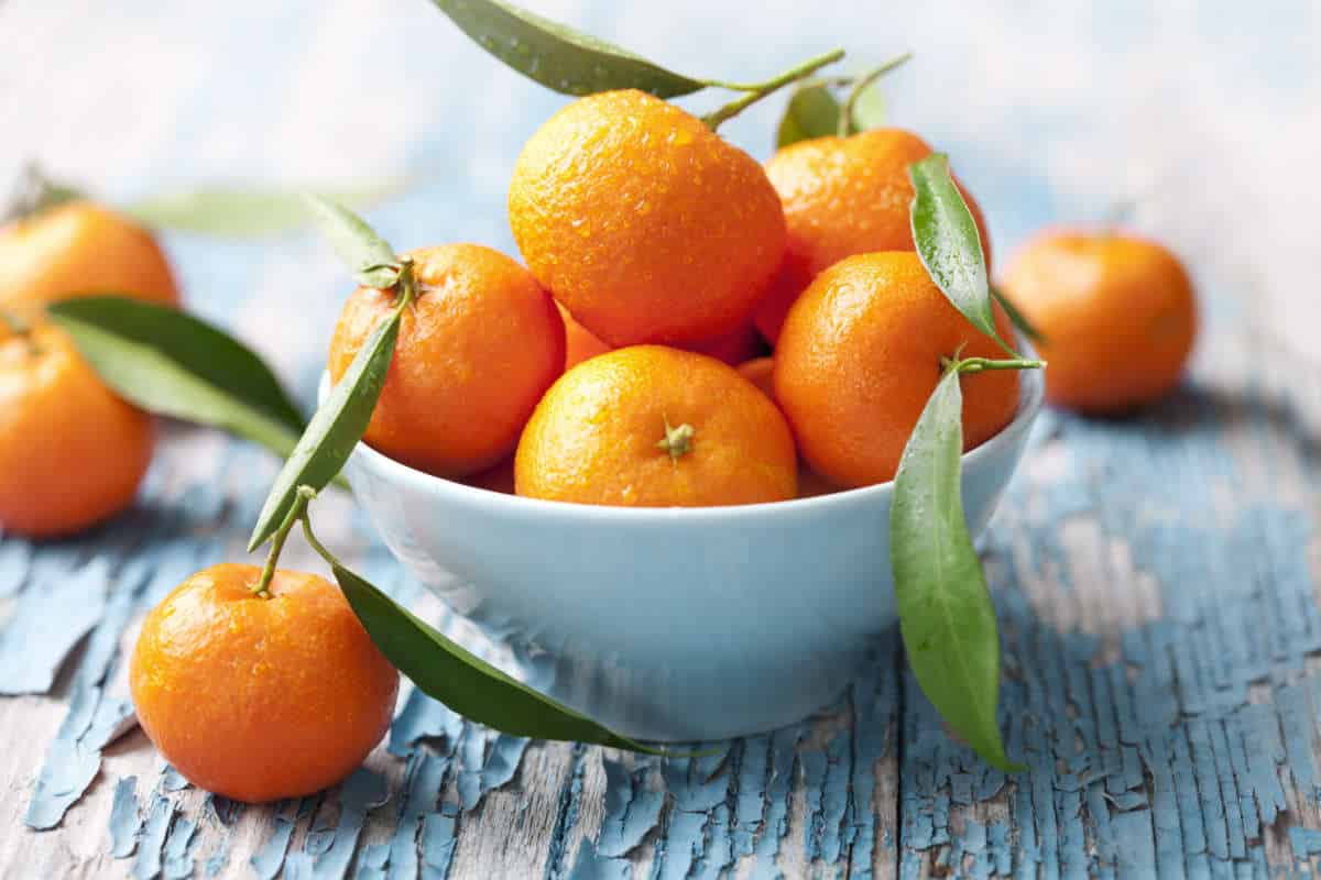 fresh oranges