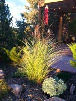 Santa-Fe-New-Mexico-House-garden