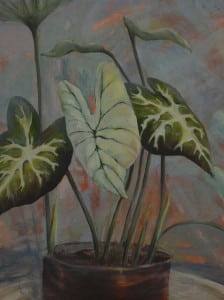 Passion, Happiness and Empathy