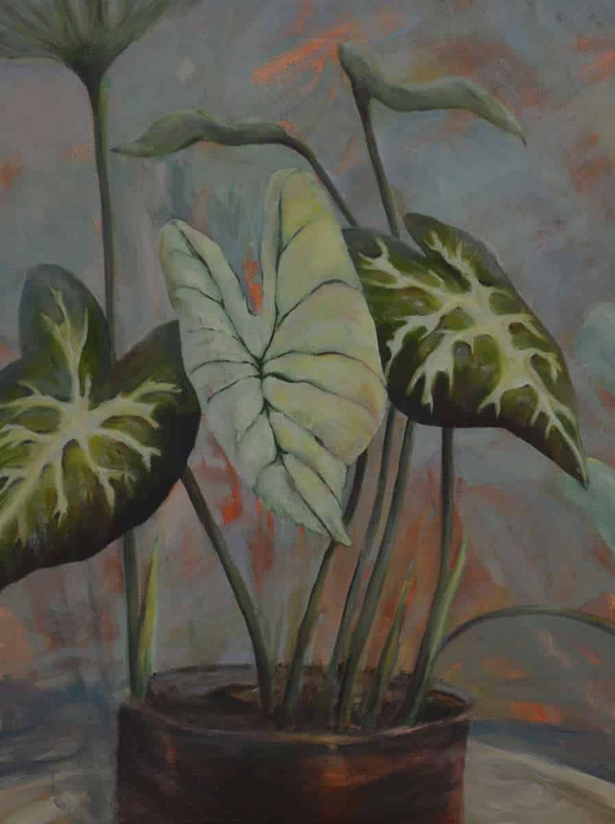 Passion, Happiness and Empathy