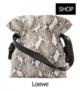 Loewe---handbag