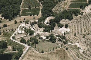 Chateau Miraval in Provence vineyards