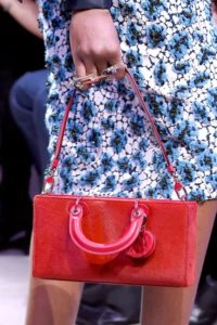 Tight Shoulder Bag- Dior