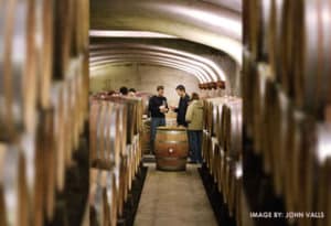 Willamette Valley Wine Country