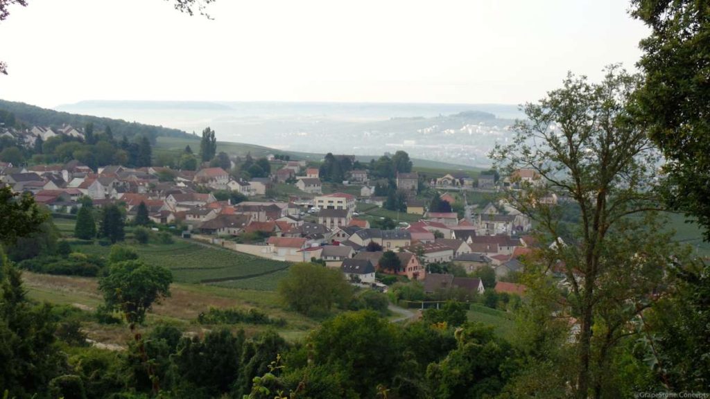 Champagne countryside near Dizy - Champagne Region