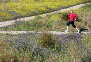 quick, effective workouts