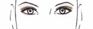 eye contour 7
