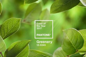 Pantone Color of the Year 2017