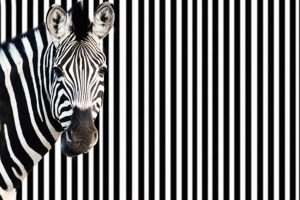 Stripes Fashion Trend