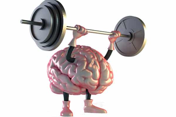 brain fitness