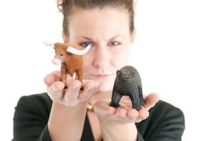 lifestyle-investments