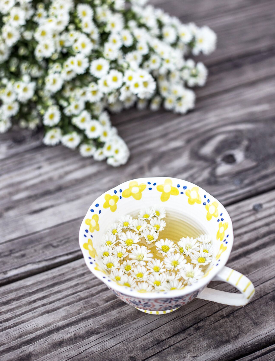 Fairmont Chateau Whistler - Best Meditation Retreats Best Meditation Retreats