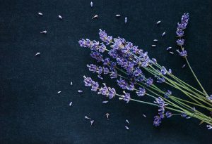 harmful air fresheners