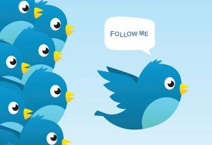 twitter beginners