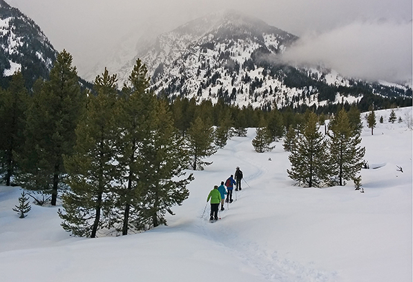 Jackson Hole winter