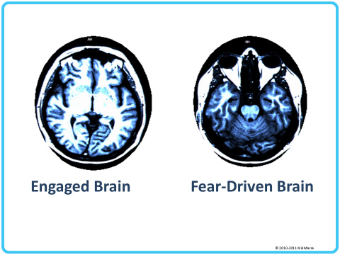 Difference between an engaged brain and a fear-driven brain