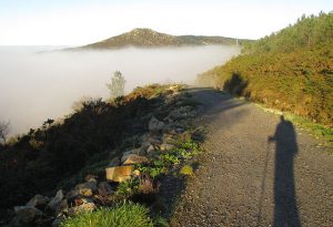 camino de santiago