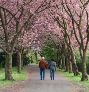 increase life expectancy