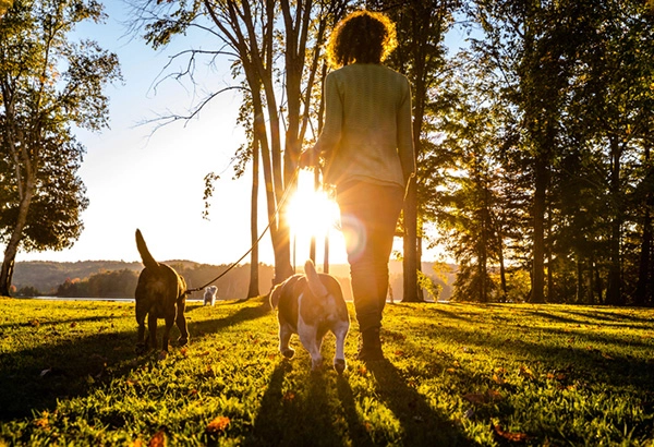 increase life expectancy