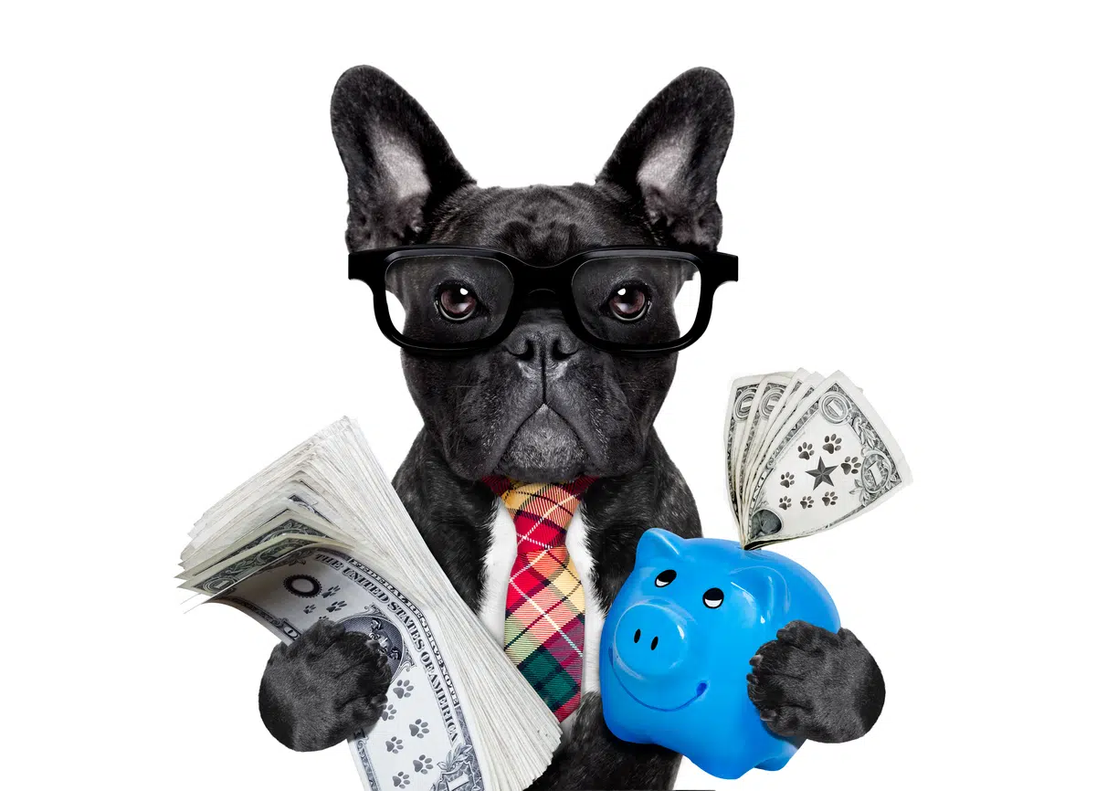 wealth management