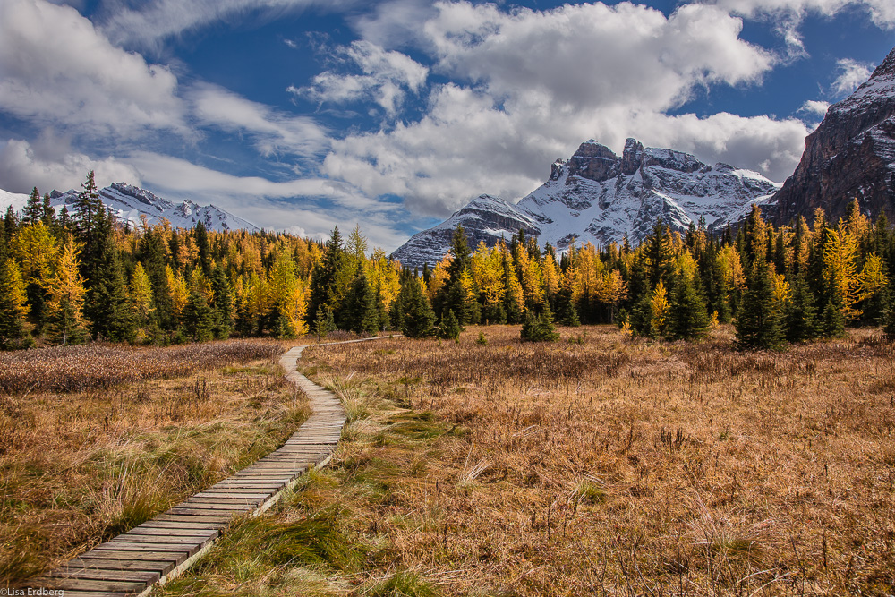 Path to Lake Magog