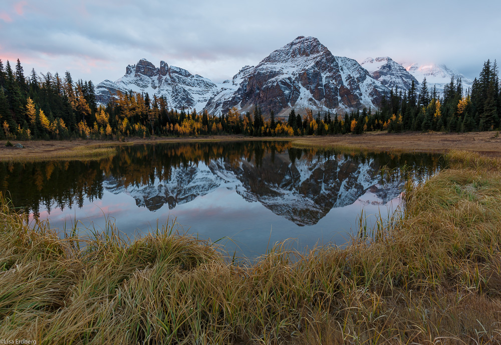 Sunrise on pond, Assiniboine Provincial Park