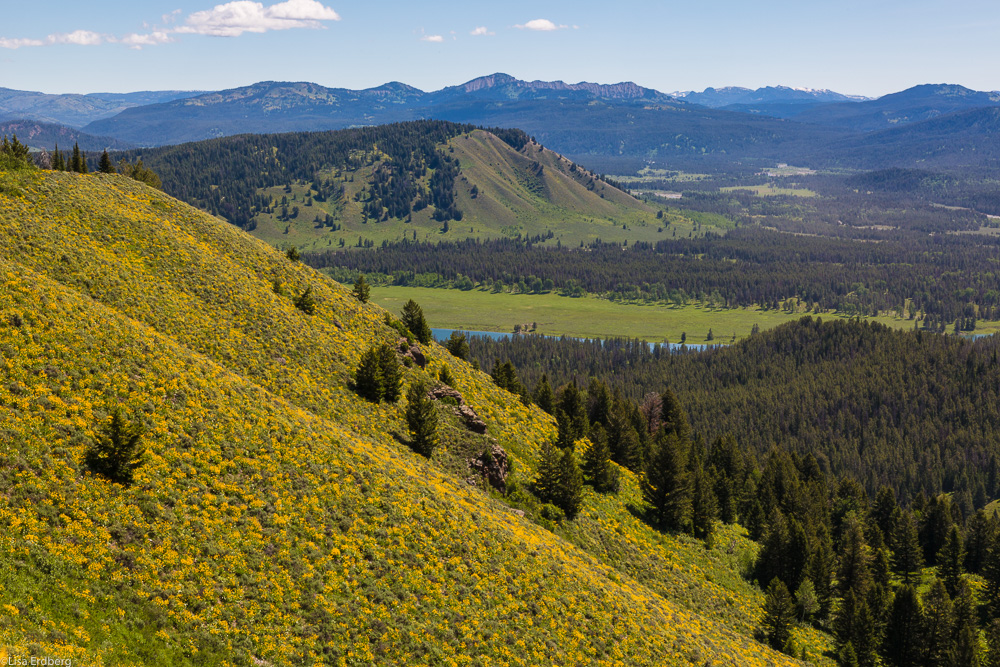 Hillside and mountains, Grand Teton National Park