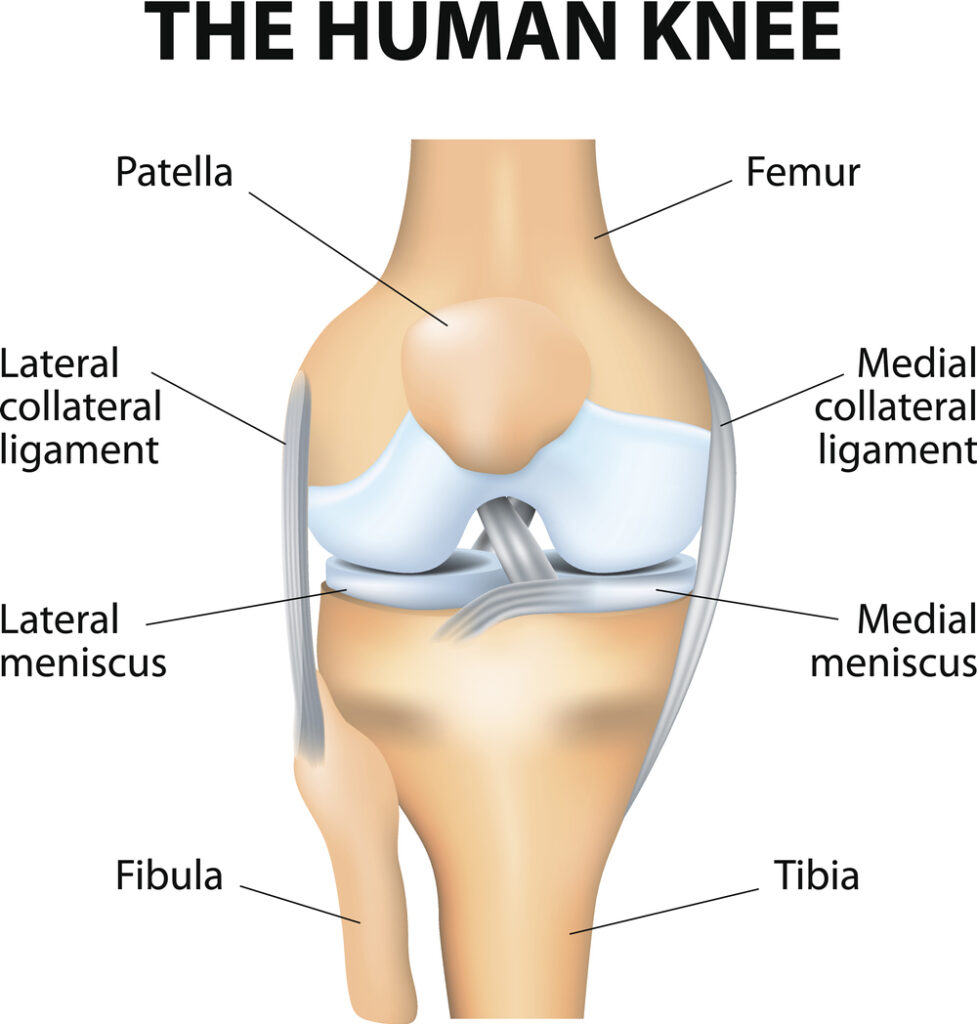 Popping in your knee