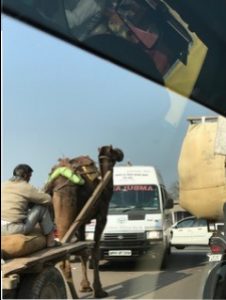 Sight, traffic - trip to India