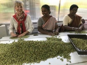 Taste, fresh spices - trip to India