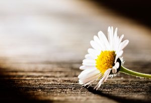 getting over your grief