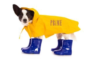 When it rains, it pours