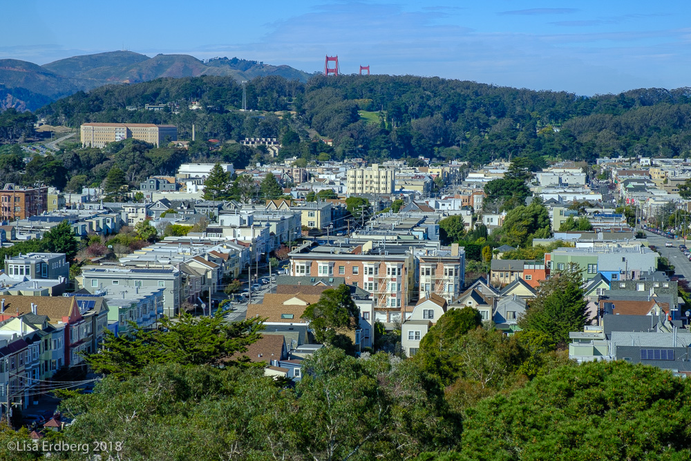 panoramic view