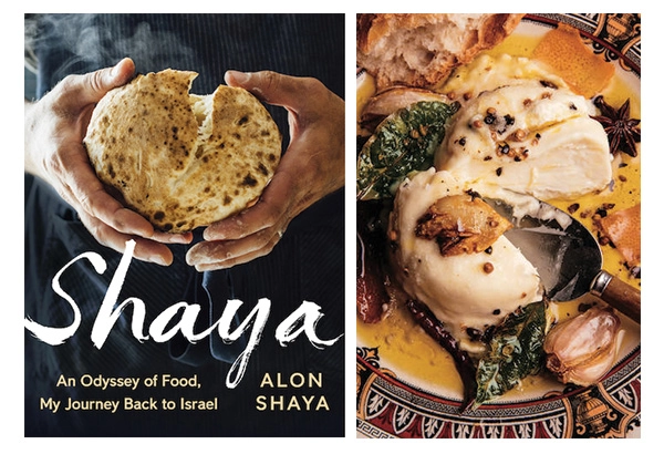 Shaya