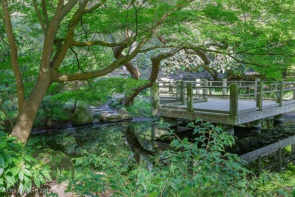 things to do in golden gate park