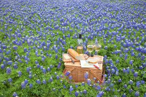 Texas wineries