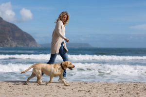 Midlife Vacation
