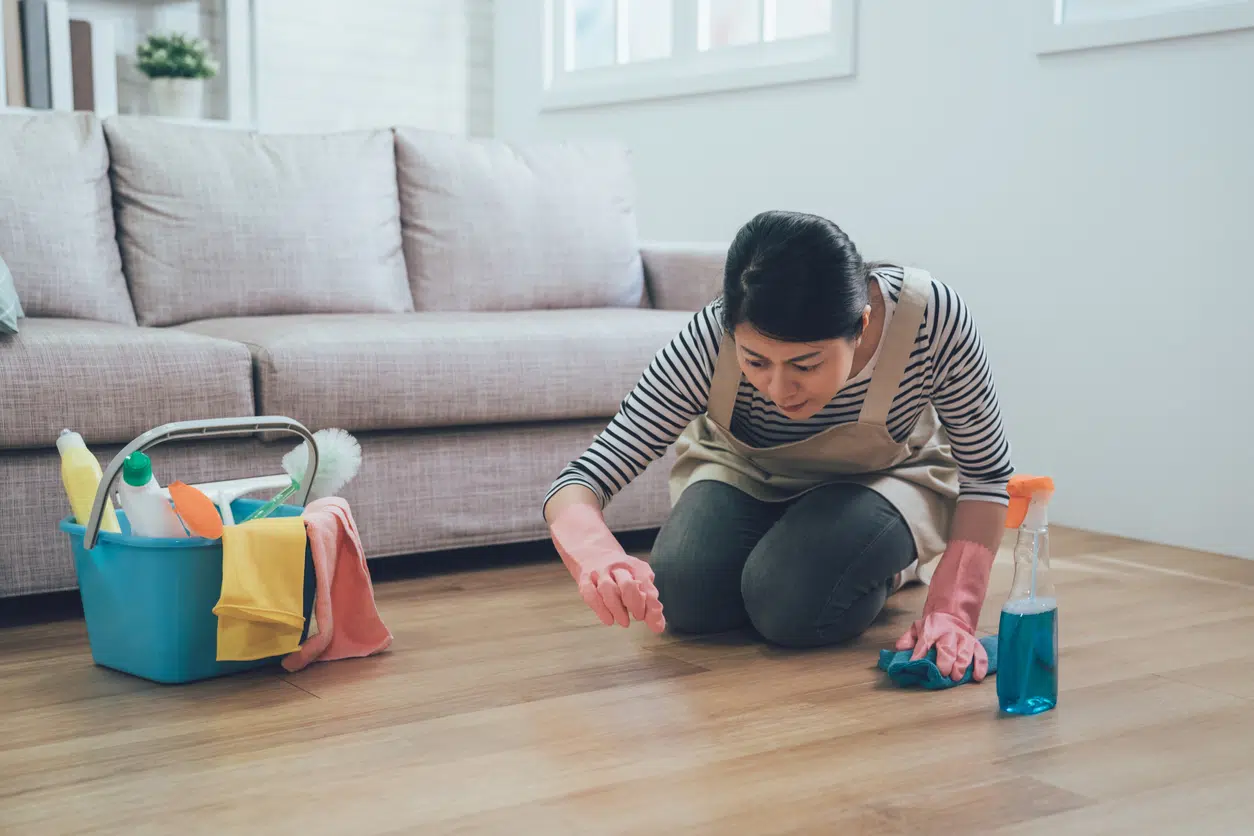 housewife doing housework and housekeeping