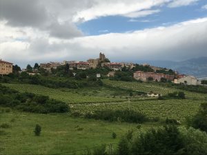 Rioja Alavesa Wine Region