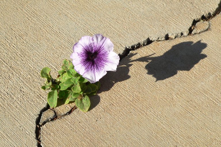 resiliency