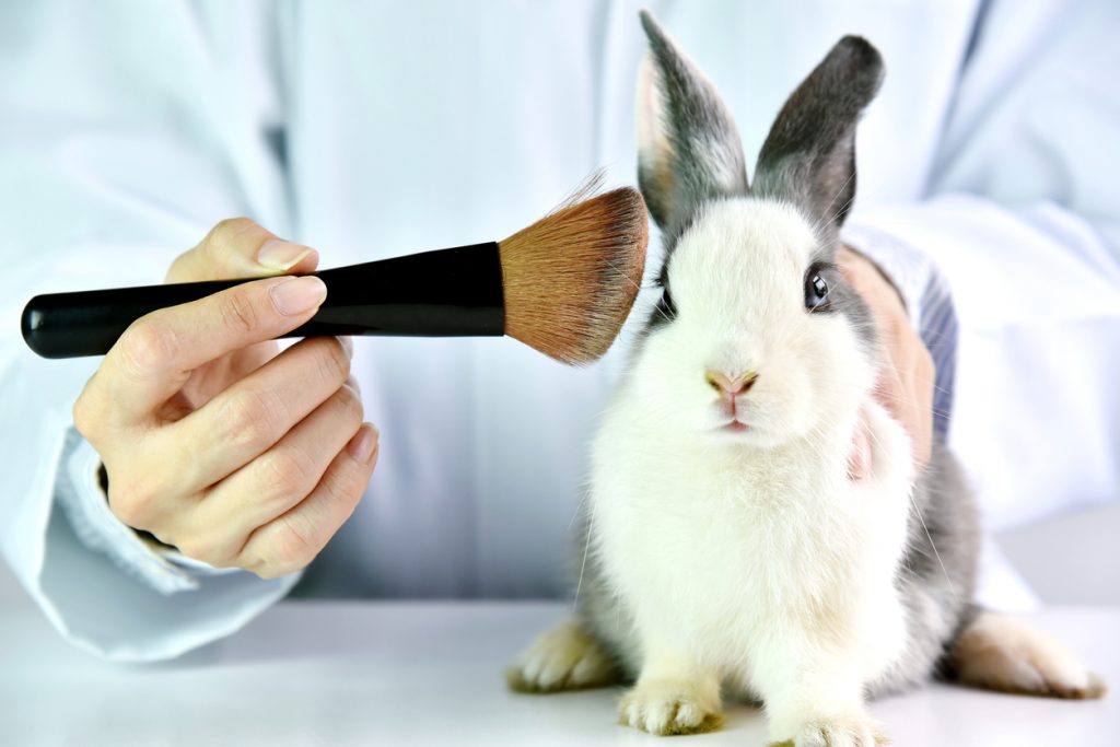 Cruelty Free Makeup Feature