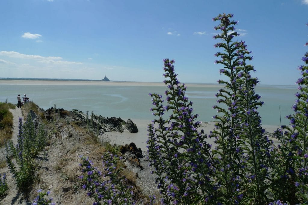 Mont Saint-Michel Bay