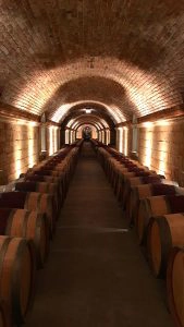 Hall Rutherford Austrian Stone Cellar edited Aug2018 Linda Spina