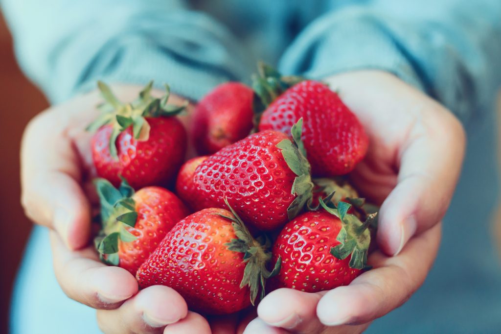 Person Holding Strawberries