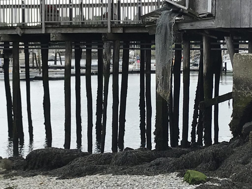 Rockland, Maine Dockside
