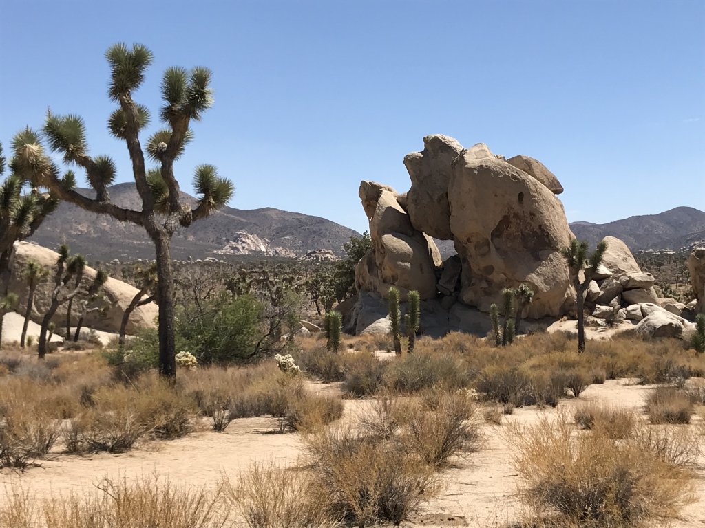 Joshua Tree National Park