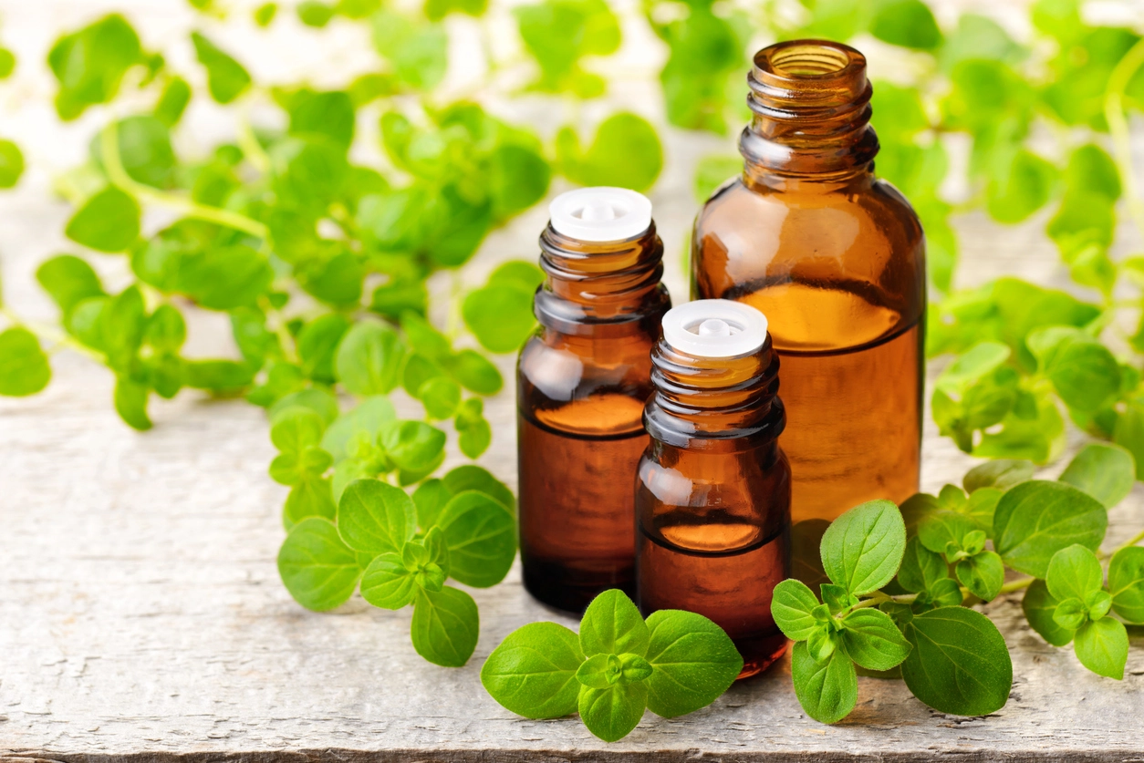 Benefits of Oregano essential oil