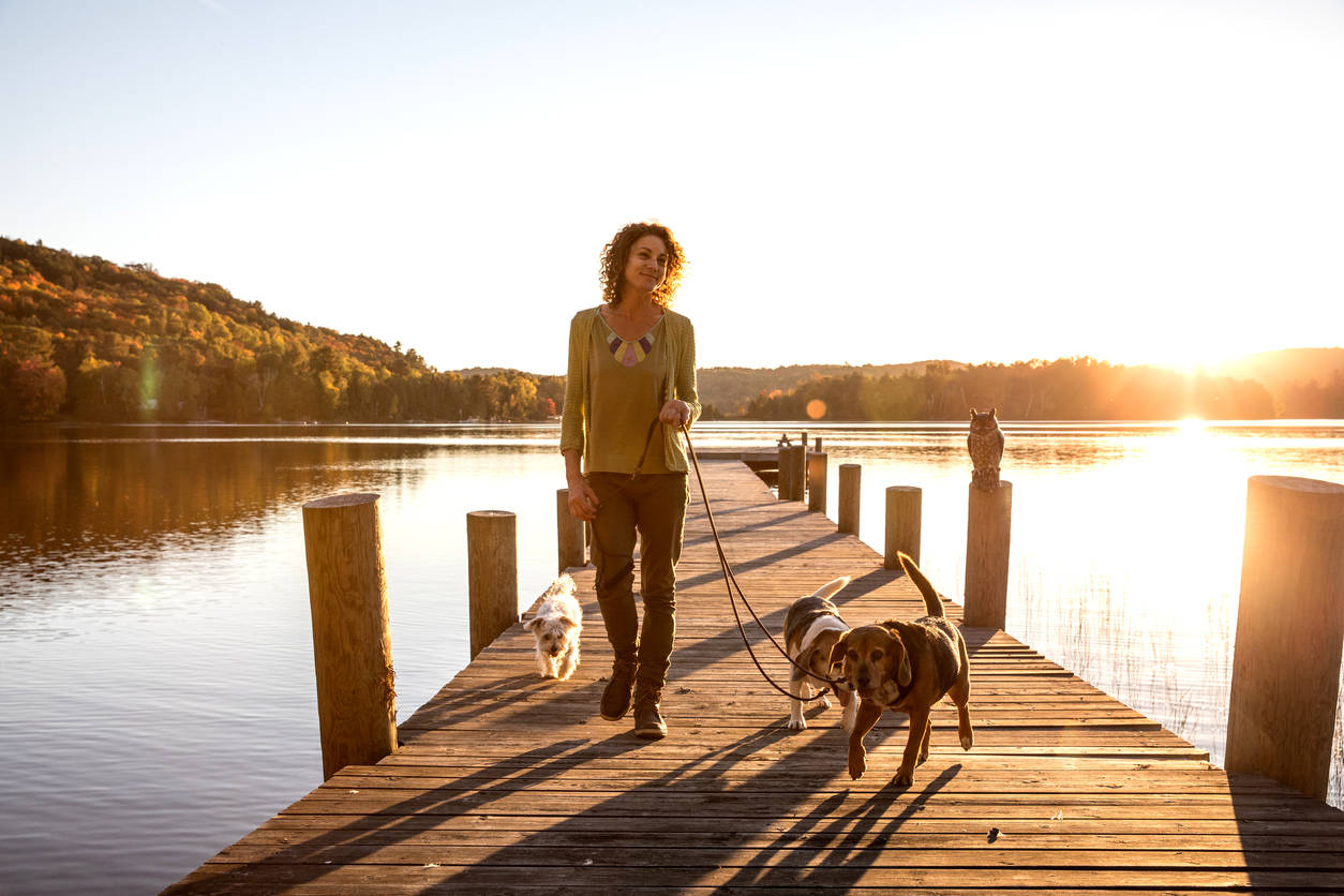 The Pros and Cons of Pets for Empty Nesters